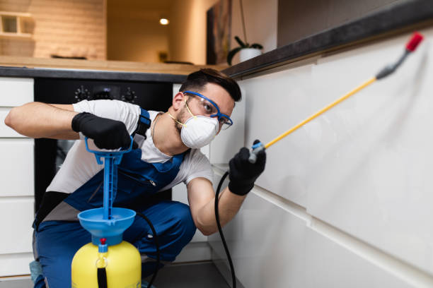 Best Termite Control Services  in East St Louis, IL