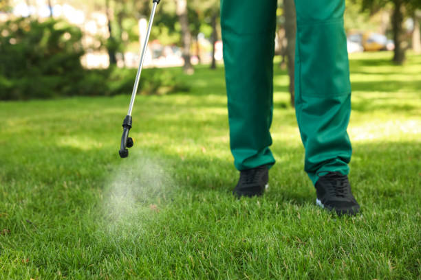 Best Wildlife Control Services  in East St Louis, IL